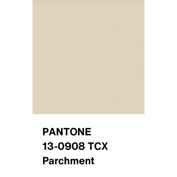 Рибана под ангору, арт. WD4353-7 цвет топленое молоко меланж