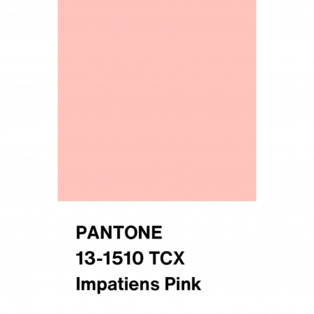 Трикотаж джерси плотный цвет розовый, арт. DN1012-151