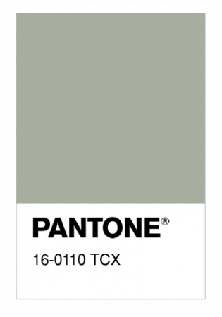 Плащевая ткань пич бондинг, арт. PL3232-158 цвет оливковый