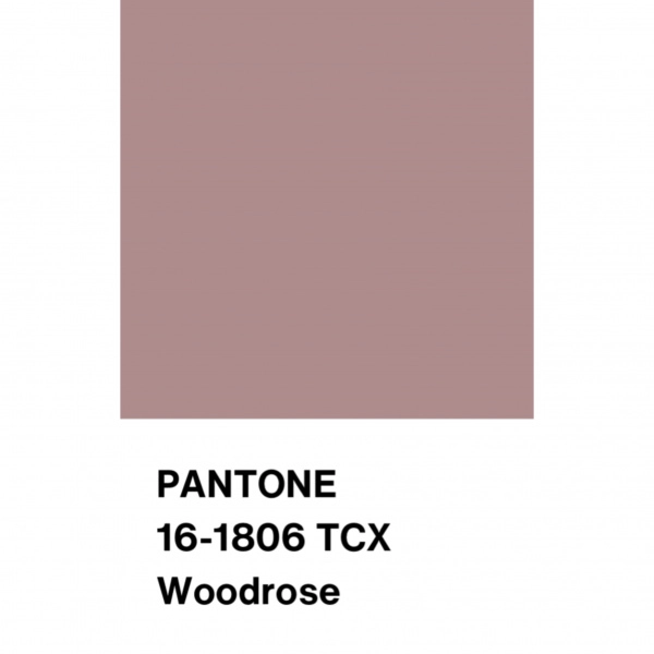 Трикотаж Кашкорсе с вискозой, арт. DW1962-14 цвет пыльная роза