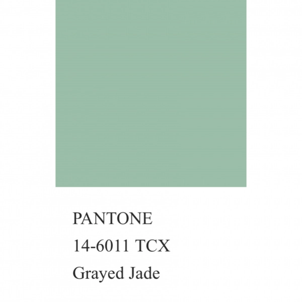 Футер 2 нитка петля цвет фисташковый, арт. DF3710-14