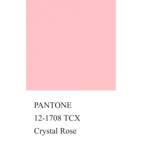 Трикотаж кашкорсе, арт. DW1201-14 цвет розовый