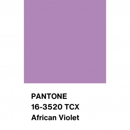 Трикотаж Кашкорсе с вискозой, арт. DW1962-7 цвет сиреневый