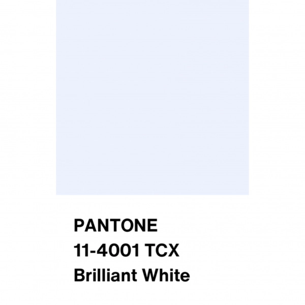 Эластичная сетка цвет белый, арт. SS2402-1