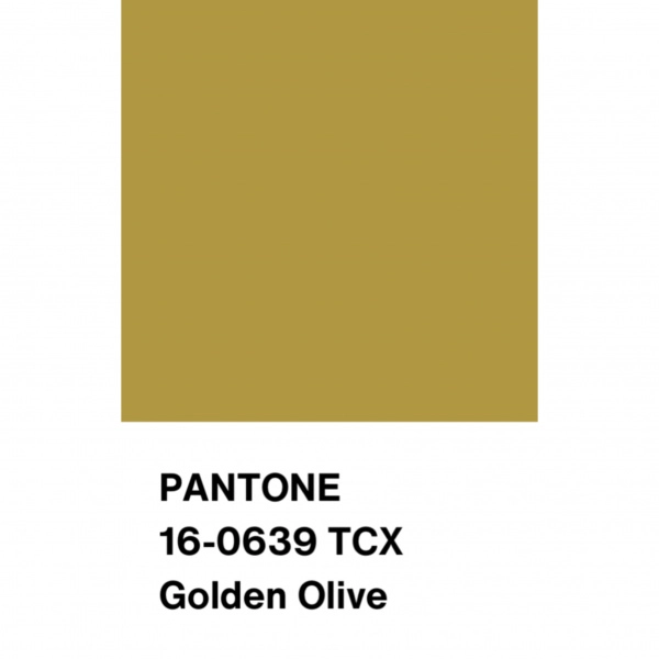 Трикотаж Кашкорсе с вискозой, арт. DW1962-17 цвет салатовый