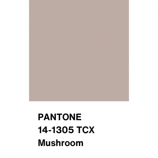 Трикотаж Кашкорсе с вискозой, арт. DW1962-3 цвет бежевый нюдовый