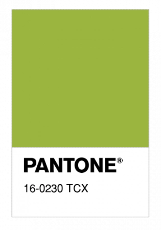 Ткань плащевая дюспо матовая цвет яблочный, арт. PL2284-9