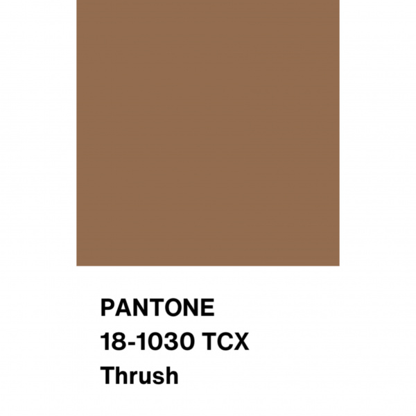 Таслан ткань курточная плотная, арт. PL9935-16 цвет терракотовый