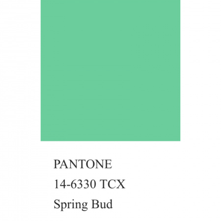 Трикотаж кашкорсе, арт. DW1201-11 цвет салатовый