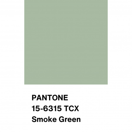 Трикотаж кулирная гладь, арт. DK3551-8 цвет фисташковый