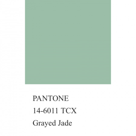 Трикотаж кашкорсе, арт. DW1201-20 цвет фисташковый