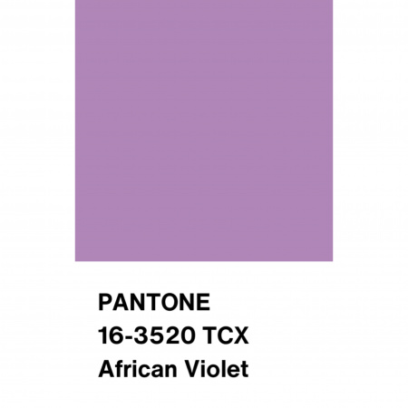 Трикотаж Кашкорсе с вискозой, арт. DW1962-7 цвет сиреневый