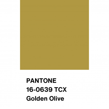 Трикотаж Кашкорсе с вискозой, арт. DW1962-17 цвет салатовый