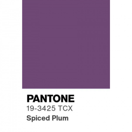 Ткань плащевая дюспо матовая, арт. PL2287-48 цвет фиолетовый сливовый