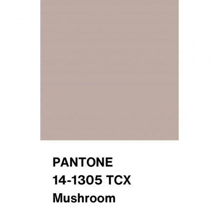 Трикотаж Кашкорсе с вискозой, арт. DW1962-3 цвет бежевый нюдовый